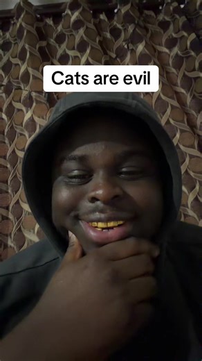 Are Cats Really Demonic Creatures?