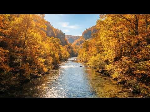 PEACEFUL RIVER LIVE