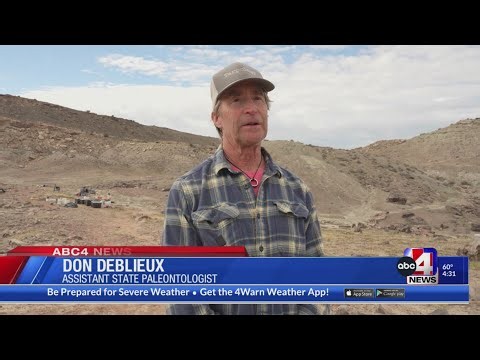 Paleontologists discover possible new dinosaur species in new excavation site near Moab
