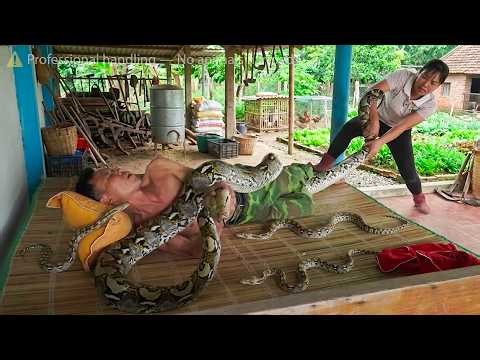 72 Hours NO ESCAPE 😱 Giant Python Hiding Under Bed Attacks Dog — Girl’s Brave Rescue!