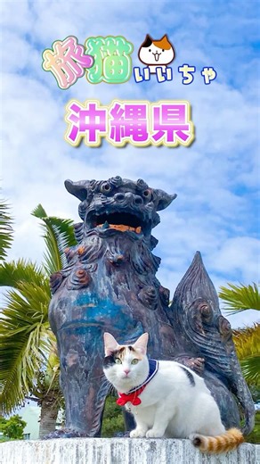 【旅猫いいちゃ♡】沖縄県 南部（玉泉洞・ガンガラーの谷）の旅