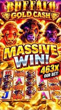 INSANE BUFFALO GOLD CASH WIN!! 463X OUR BET?! 🦬 #slot #casino