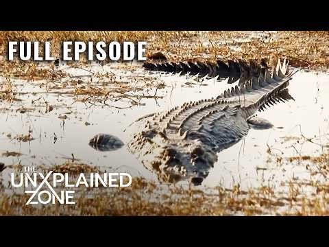 One-Armed Croc Terrorizes Village (S1, E7) | Outback Hunters | Full Episode