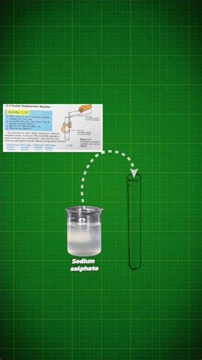 Activity 1.10 class 10 science | sodium sulphate and barium chloride #shorts #class10 #ncert