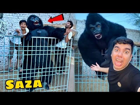 Talli Or Javed Ko Gorilla Cage Mein Band Kr Dea 😅 Saza Di 😁