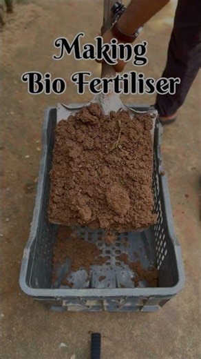 Part 2: Easy way to make bio fertiliser #gardening #biofertilizer #organicgardening