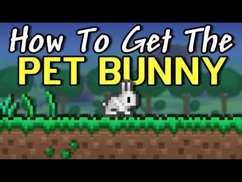 How To Unlock The SPECIAL Pet Bunny In Terraria 1.4.5 (Windows & Linux)