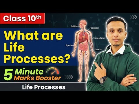 Life Processes Class 10 Science Biology | What are Life Processes Explained in 5 mins #class10 