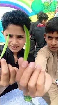 Science Survey Activity! 🌍#ScienceActivity #Class4 #LearningByDoing