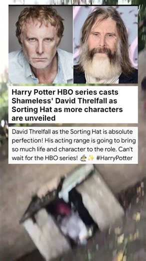 Harry Potter HBO series casts Shameless' David Threlfall as Sorting Hat as more ... #celebrity