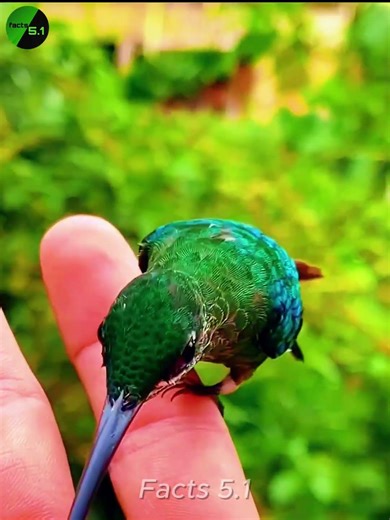 Drinking Water at Light Speed! ⚡🌊