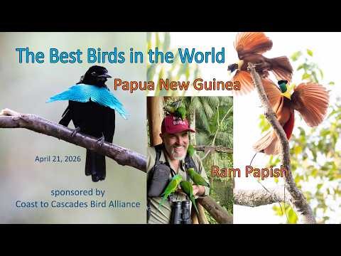 Papua New Guinea: The Best Birds in the World
