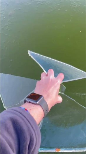 They said a tennis ball would stop a pool from freezing 🫠 ❄️