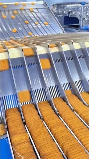 Sticky Note Nightmare? 🚗💨 My "Prank" Led to a Scholarship?! 📜🤯