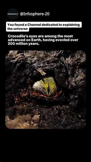 The Evolution of Crocodile Vision | #shorts #evolution #crocodile