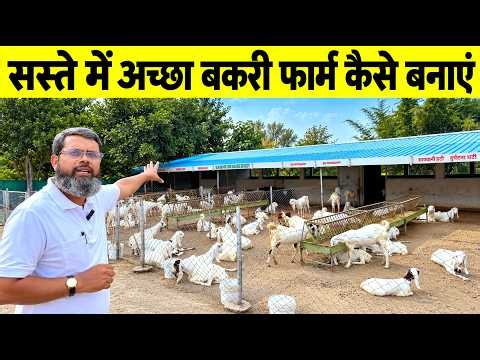 बकरी फार्म कैसे बनाएं | How to Build Goat Farm | Goat Farming