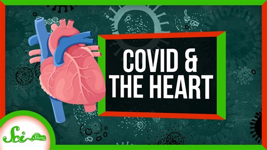 Why athletes are worried about COVID: its toll on the heart