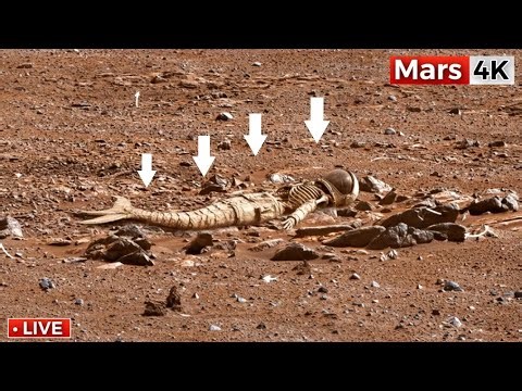 Mars Perseverance Rover Latest Images: 2026 | Perseverance Rover Footage SOL 1570 | Mars 4K Video