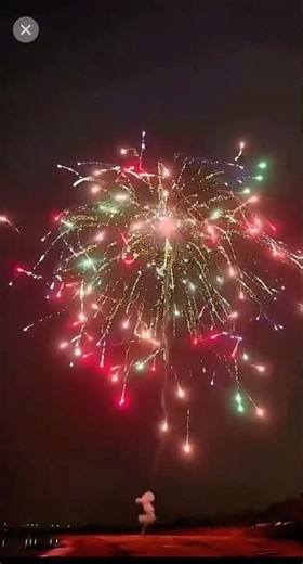 Fireworks + night sky = pure magic 🎇 #fireworks #firecracker #pyro #viral #trending #explosion