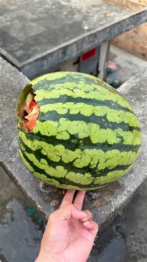Experiment: Will a watermelon explode if it rolls off a tall building? 🍉💥#shorts