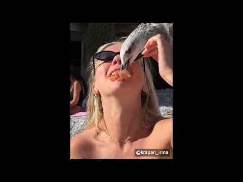INSTANT REGRET COMPILATION - They Knew It Was a Bad Idea