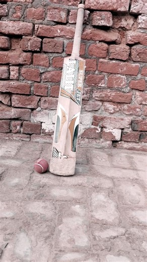 cricket wallpaper video#cricket #cricketfans #cricketlife #cricketshorts