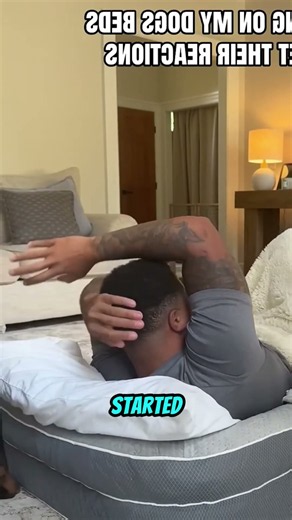 How His 3 Dobermans Reacted to Finding Him in Their Bed 😂