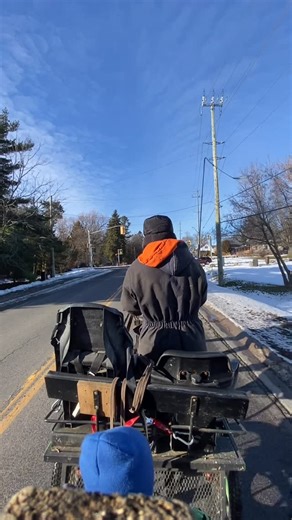 David Foster on Instagram: "Big Clydesdale draft first encounter with his first stop light. And we got green! Enjoy the clip clop #waterdown #canada #equine #horse #horseandbuggy"