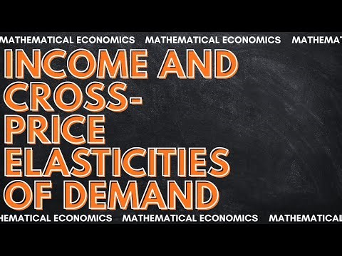 Income & Cross-Price Elasticities of Demand Explained | Schaum’s Mathematical Economics Chapter 6