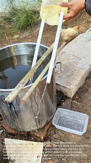 DIY Water Filter: Build Your Own Water Purification System