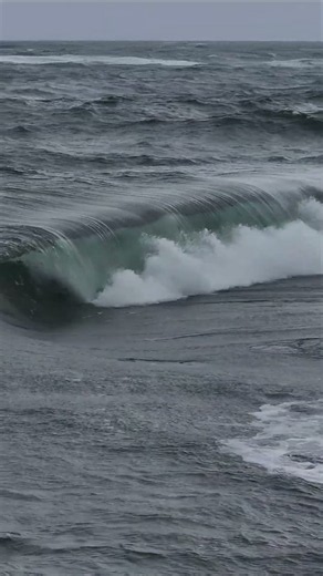 🔴(NOT A.I.) EXTREME SHALLOW REEF BREAK IN TAHITI