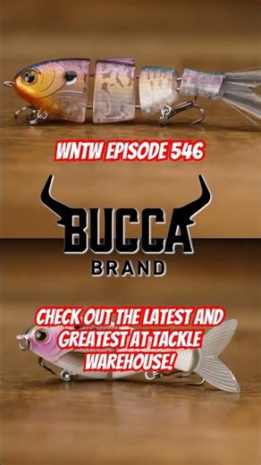 Hot Baits For Spring Fishing! Lots of New Products From Bucca, Core Tackle, k9 Fishing, & Lake Fork!