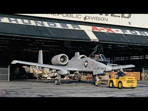 The Plane Built Around a Gun: The A-10 Warthog Story | Why the Air Force Couldn't Kill It