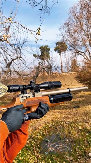 Kral Puncher Auto – Deadly Accurate Target Shooting #airrifleshooting #airguns