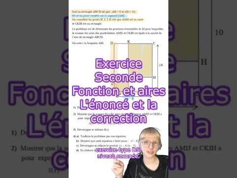 Exercice type DS niveau seconde - Aire et fonction - Enoncé et correction