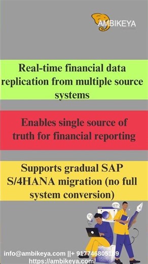 What is SAP Central Finance?