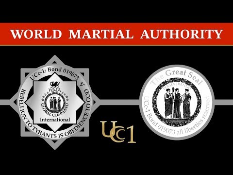 World Martial Authority Interviews #worldmartialauthority #operationtalla