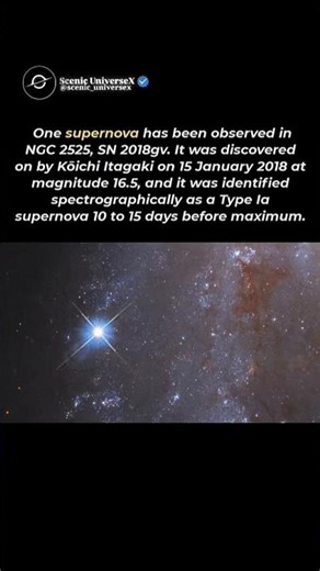 🤫 Supernova SN2015 That Outshone Entire Galaxy 🌌 #viral #shorts