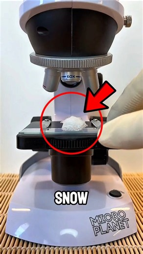 What Snow Looks Like Under a Microscope Will Blow Your Mind ❄️🔬