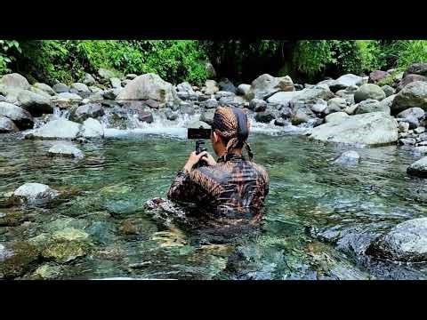 🍃 Flowing River Harmony ASMR Sounds for Deep Sleep, Relaxation & Inner Peace