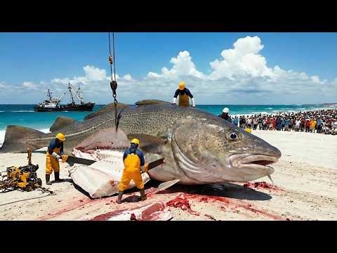 Pulling In 1,000 Giant Alaska Cod Felt Absolutely Unreal!