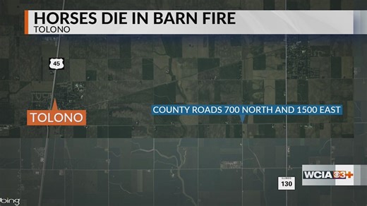 2 horses die in Champaign Co. barn fire likely caused by lighting, fire chief says