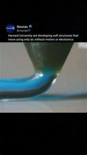 Harvard Builds Soft Robots You Won’t Believe