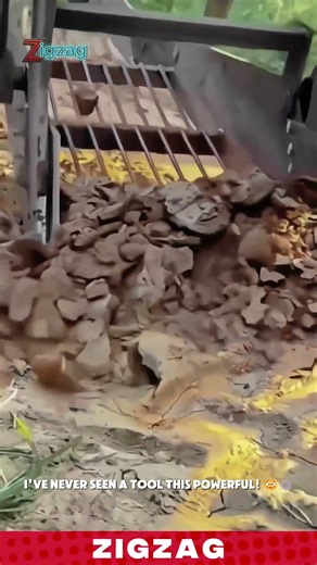 Genius Farming Tools for High-Efficiency Potato Harvesting in Large Fields