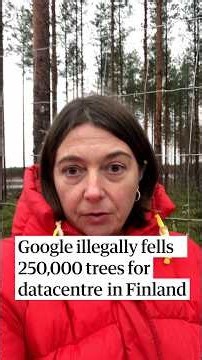 Google illegally fells 250,000 trees for datacentre in Finland