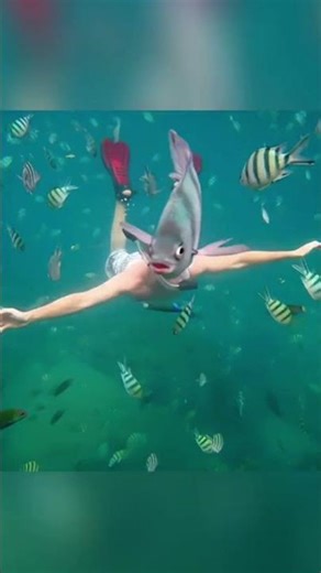 Pictures taken at the right time #shorts #memes