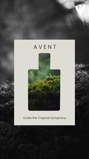 Evoke the Tropical Symphony with Avent 🌺 [Video] | Perfume cover design, Ingredients for perfume, Luxury perfume poster design