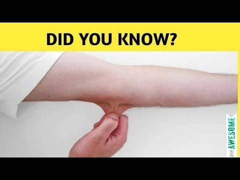 1. "Unbelievable Science Facts Do you know 🤗