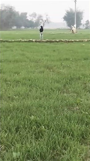 What's TRENDING Right Now💯💯