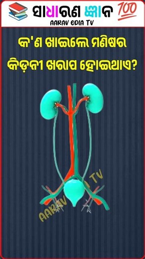 Top 20 GK Question 🤔💥|| GK Question ✍️|| GK Question and Answer #gk Part- 258 @AARAVODIATV